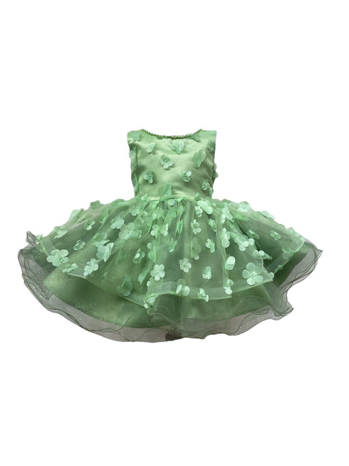Baby Girls 3D Floral Applique Voluminous Skirt Flower Girl Dress 6-24M