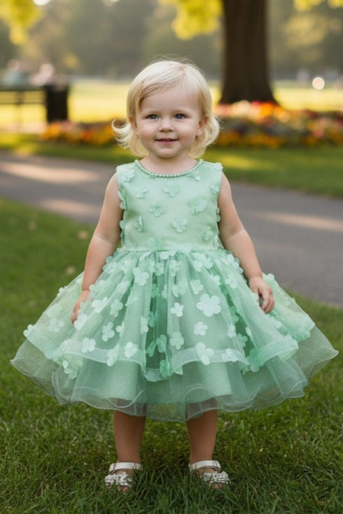 Baby Girls 3D Floral Applique Voluminous Skirt Flower Girl Dress, Sizes 6-24M