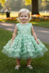 Baby Girls 3D Floral Applique Voluminous Skirt Flower Girl Dress, Sizes 6-24M