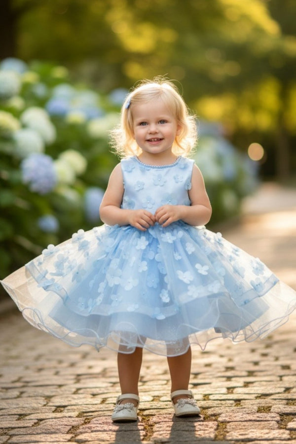 Baby Girls 3D Floral Applique Voluminous Skirt Flower Girl Dress 6-24M