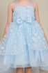 Girls Illusion Princess Top 3D Flower High Low Skirt Flower Girl Dress 2-12