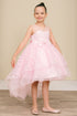 Girls Illusion Princess Top 3D Flower High Low Skirt Flower Girl Dress 2-12