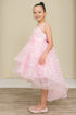 Girls Illusion Princess Top 3D Flower High Low Skirt Flower Girl Dress 2-12