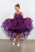 Girls Illusion Princess Top 3D Flower High Low Skirt Flower Girl Dress 2-12