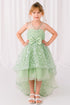 Girls Illusion Princess Top 3D Flower High Low Skirt Flower Girl Dress 2-12