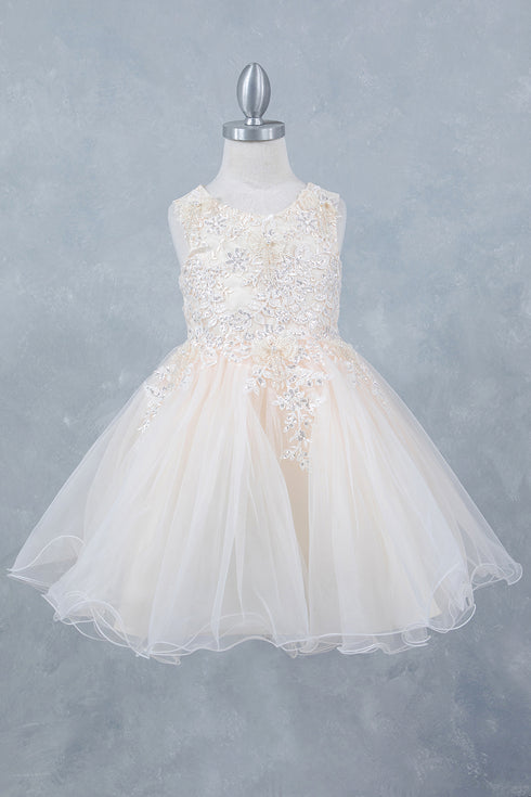 Girls Stunning Tulle and Lace Party Dress 2-12