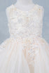 Girls Stunning Tulle and Lace Party Dress 2-12