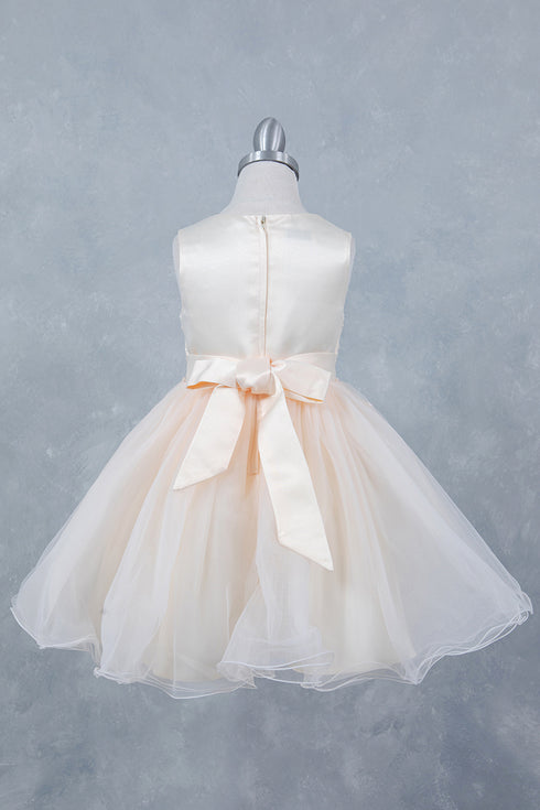 Girls Stunning Tulle and Lace Party Dress, Sizes 2-12