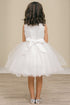 Girls Stunning Tulle and Lace Party Dress, Sizes 2-12