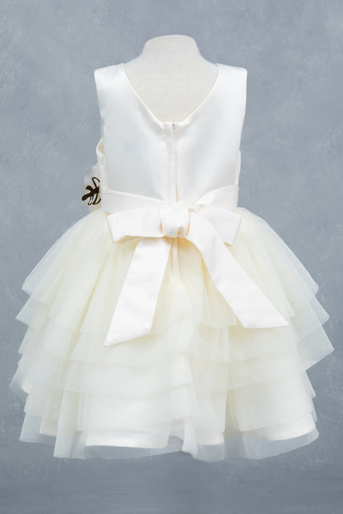 Elegant Baby Girls Special Occasion Dress 3-24M