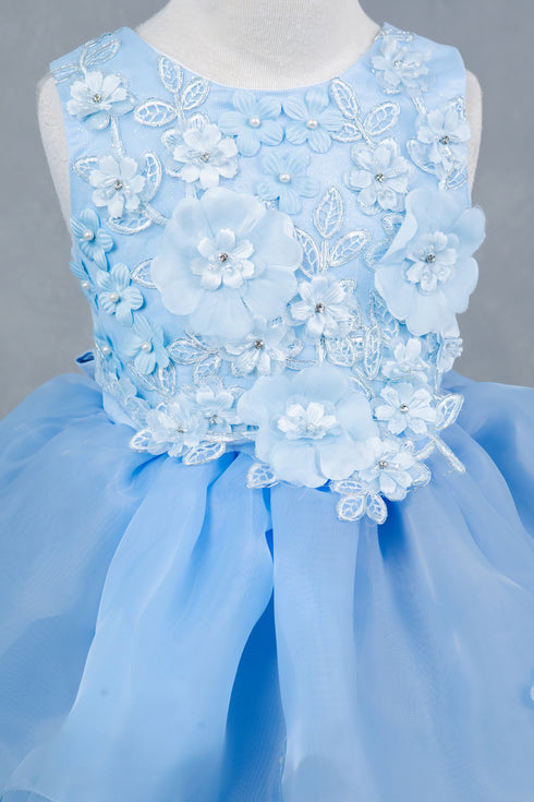 Girls Rhinestone Accent Floral Applique Special Occasion Dress 2-12