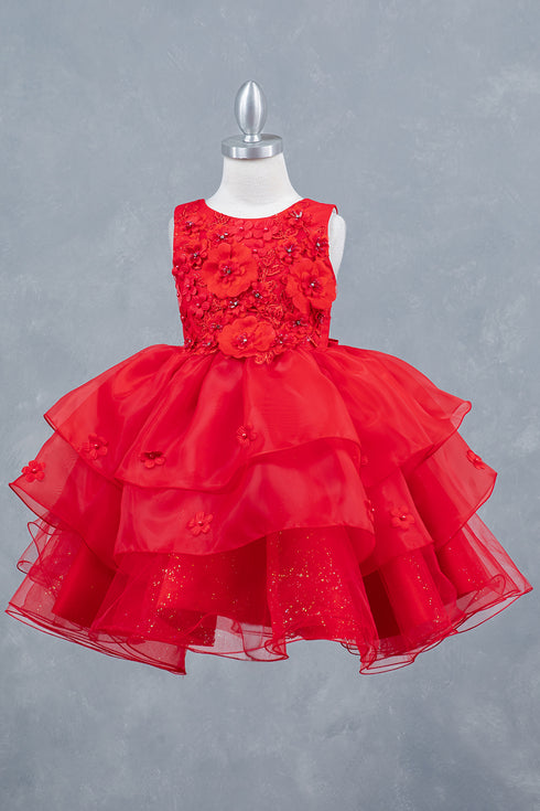 Girls Rhinestone Accent Floral Applique Special Occasion Dress 2-12
