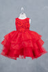 Girls Rhinestone Accent Floral Applique Special Occasion Dress 2-12