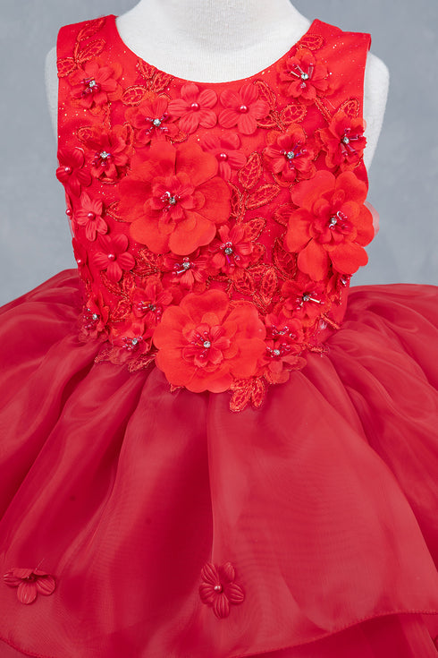 Girls Rhinestone Accent Floral Applique Special Occasion Dress 2-12