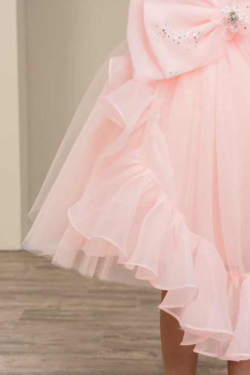 Elegant Floral Embellished Ruffle Back Dress 4-14