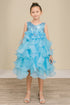 Girls Elegant Sequin & Ruffle Gown 2-14