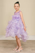 Girls Elegant Sequin & Ruffle Gown 2-14
