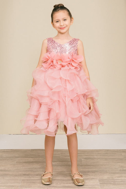 Girls Elegant Sequin & Ruffle Gown 2-14