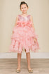 Girls Elegant Sequin & Ruffle Gown 2-14