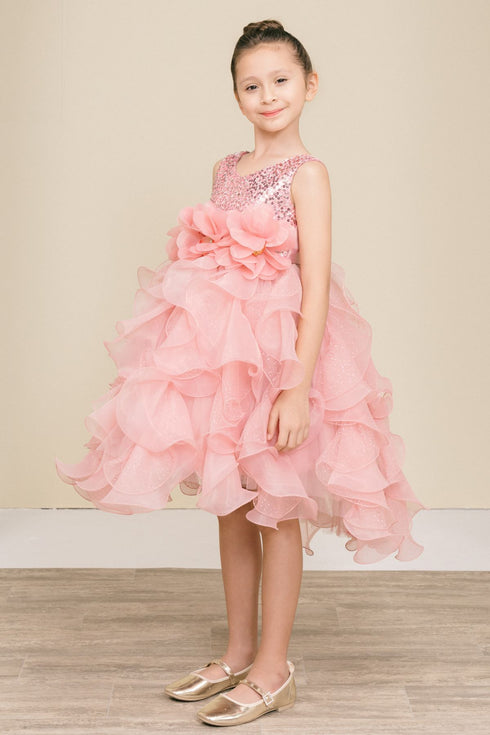 Girls Elegant Sequin & Ruffle Gown 2-14