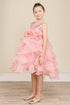 Girls Elegant Sequin & Ruffle Gown 2-14