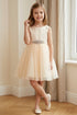 Girls Satin & Tulle Party Dress with Rhinestone Waistband 2-14