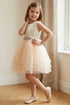 Girls Satin & Tulle Party Dress with Rhinestone Waistband 2-14
