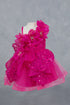Little Fashionistas Baby Girl Gown 3-24 Months