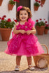 Little Fashionistas Baby Girl Gown 3-24 Months