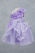 Little Fashionistas Baby Girl Gown 3-24 Months