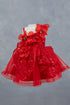 Little Fashionistas Baby Girl Gown 3-24 Months