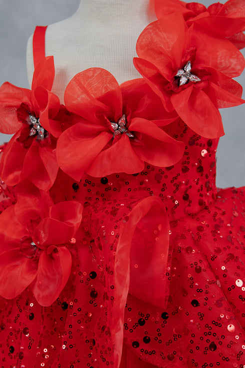 Little Fashionistas Baby Girl Gown 3-24 Months