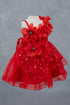 Little Fashionistas Baby Girl Gown 3-24 Months