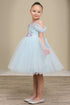 Girls Floral Sequin Tulle Special Occasion Dress 2-14