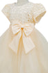 Baby Girls Lace Tulle Party Dress with Bow 6-24Months