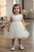 Baby Girls Butterfly Tulle Party Dress 6-24Months