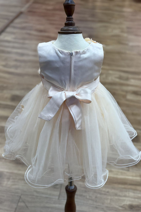 Baby Girls Butterfly Tulle Party Dress 6-24Months
