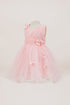 Baby Girls Butterfly Tulle Party Dress 6-24Months