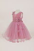 Baby Girls Butterfly Tulle Party Dress 6-24Months