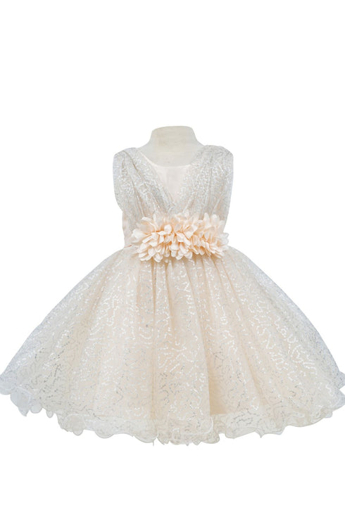 Baby Girls Sparkly Tulle Floral Special Occasion Dress 6-24Months