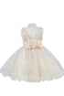 Baby Girls Sparkly Tulle Floral Special Occasion Dress 6-24Months