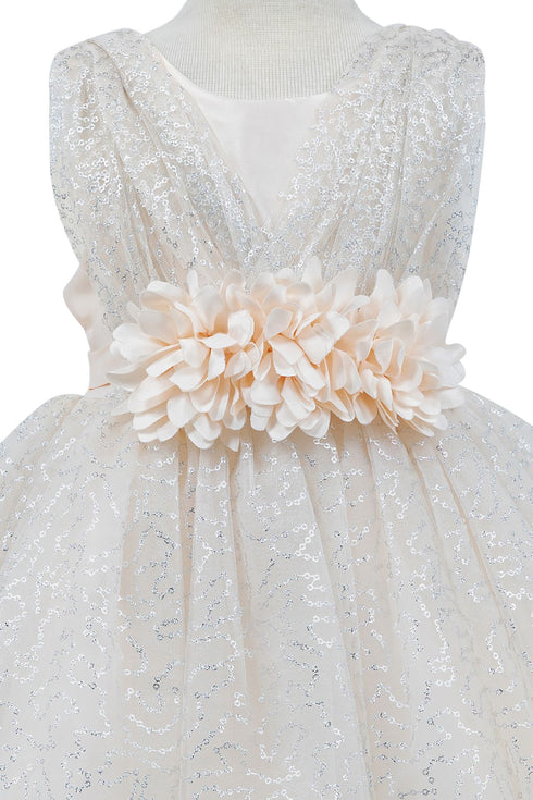 Baby Girls Sparkly Tulle Floral Special Occasion Dress 6-24Months