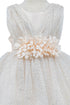 Baby Girls Sparkly Tulle Floral Special Occasion Dress 6-24Months