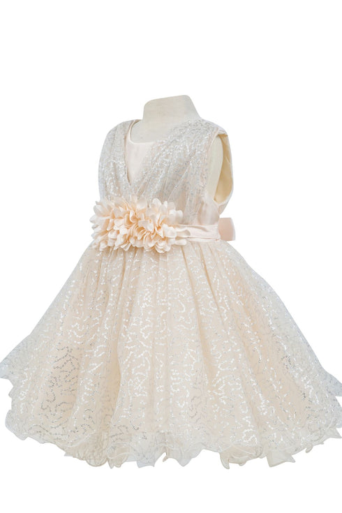 Baby Girls Sparkly Tulle Floral Special Occasion Dress 6-24Months