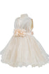 Baby Girls Sparkly Tulle Floral Special Occasion Dress 6-24Months