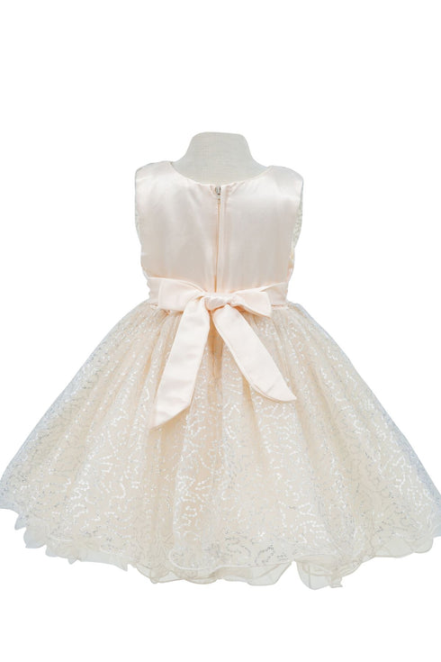 Baby Girls Sparkly Tulle Floral Special Occasion Dress 6-24Months