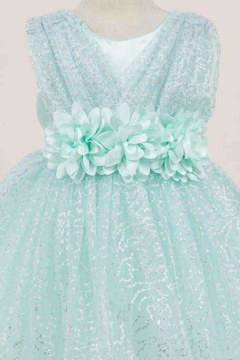 Baby Girls Sparkly Tulle Floral Special Occasion Dress 6-24Months