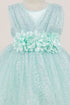 Baby Girls Sparkly Tulle Floral Special Occasion Dress 6-24Months