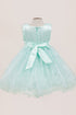 Baby Girls Sparkly Tulle Floral Special Occasion Dress 6-24Months