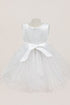 Baby Girls Sparkly Tulle Floral Special Occasion Dress 6-24Months